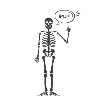 Skeleton human anatomy. halloween black skeleton isolated on white. Skeleton hand sign.