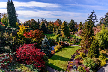 Arboretum with multicolored trees and bushes, green lawn, bridge, stream and blue sky