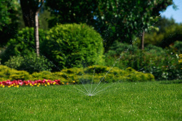 sprinkler spraying water