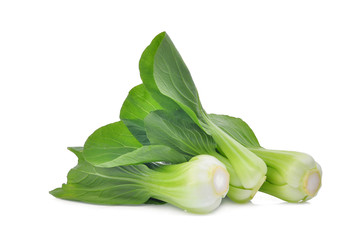 fresh green bok choy (chinese cabbage) isolated on white background - obrazy, fototapety, plakaty