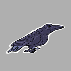 Hand drawn vector illustration. Evil black raven. Sticker. Cartoon patch badges.
