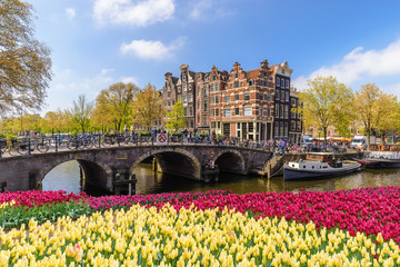 Fototapeta premium Panoramę miasta Amsterdam na nabrzeżu kanału z wiosennego kwiatu tulipana, Amsterdam, Holandia