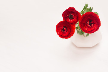 Deep red flower bouquet in vase on white wood background. Festive summer decor for interior.