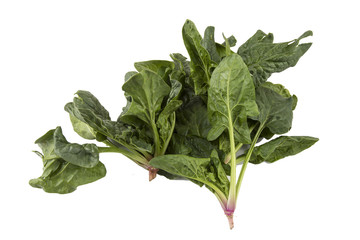Spinach on the white background