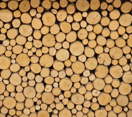 Close up of finely cut logs