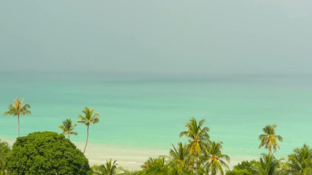 Paradise island exotic beach, tropical plants before rain swaing in the wind. Bright juicy green coconut palm trees against a tuquoise blue sea background. Ocean coast line landscape. Fairytale resort
