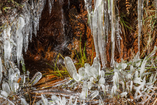 Formaciones de hielo en la vegetaci&oacute;n y ca&iacute;da de agua en riachuelo.