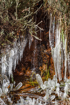 Ca&iacute;da de agua y formaciones de hielo entre la vegetaci&oacute;n.