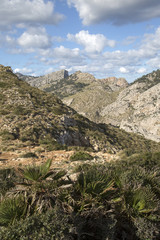 Fototapeta na wymiar Peaks on Formentor; Majorca