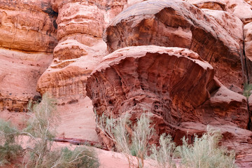 Red stone walls of the canyon.