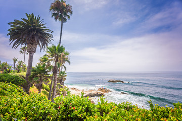 Fototapeta na wymiar Laguna Beach landscape