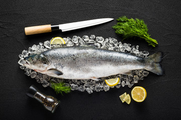 Salmon fish and ingredients on ice on a black stone table top view