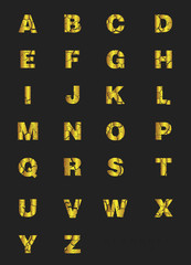 Alphabet Modern Design collection. Retro Type Font Disco,