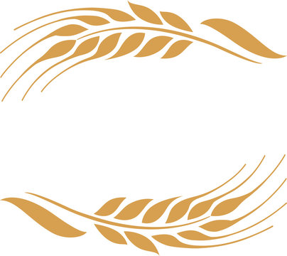 Gold ripe wheat ears frame, border or corner element.