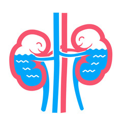 concept of funny kidneys
