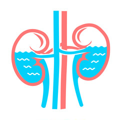 concept white  kidneys water