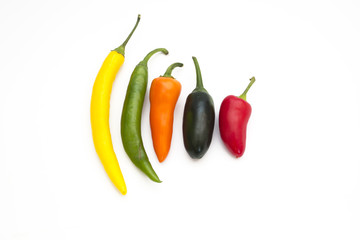 Colorful chili peppers isolated on white.