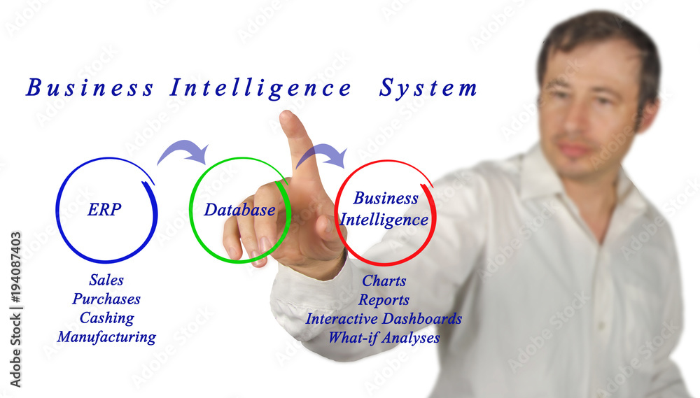 Canvas Prints business intelligence system