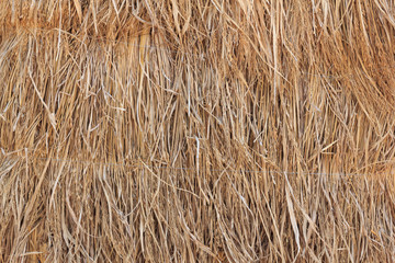 Dry straw texture.