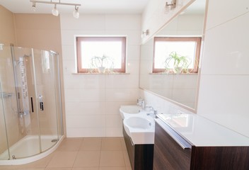 Modern bathroom with glass shower box