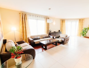 Elegant comfortable living room