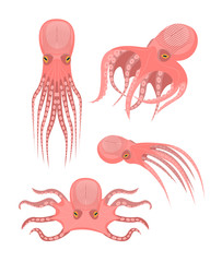 Cartoon Cute Octopus Characters Icon Set. Vector