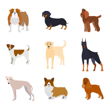 Cartoon Breed of Dogs Collection Icons. Vector