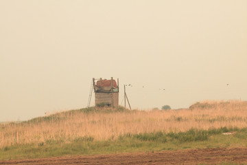 Naklejka premium field