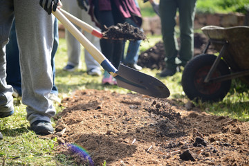 Home farming urban farm planting herbs aromatic plants