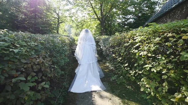 the bride goes along the path between the bushes