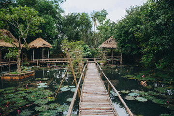 Wooden footbridge and lotus flowers in pond in beautiful park, Hue, Vietnam