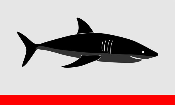 Shark silhouette vector illustration