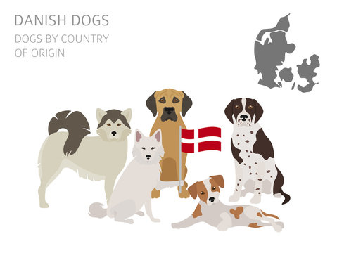 Dogs by country of origin. Danish dog breeds. Infographic template