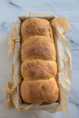 Oster Brioche 