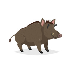 Cartoon cheerful adult boar. Forest Europe and North America animal. Flat with simple gradients trendy design. Education vector illustration.