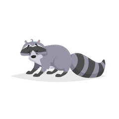 Cartoon cheerful standing racoon. Forest Europe and North America animal. Flat with simple gradients trendy design. Education vector illustration.