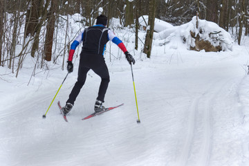 a man skier skating in a winter forest near trees