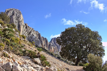 Fototapeta na wymiar Peaks in the Bernia mountain range. Alicante. Spain