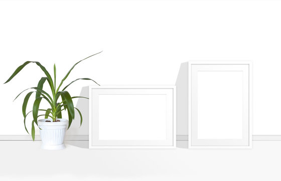 Two blank photo frames mock up and yucca plant in white flower pot, interior decoration  accessory