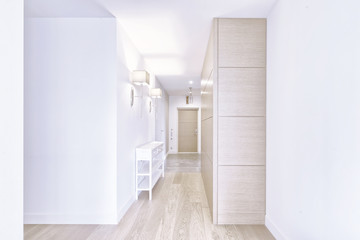 Fototapeta na wymiar Russia,Moscow - The interior design of the hall in a new apartment.
