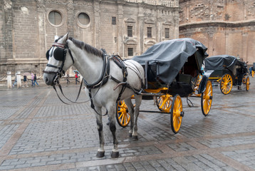 Naklejka na ściany i meble Tourist carriage In Seville