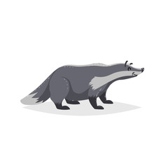 Cartoon cheerful badger. Forest Europe and North America animal. Flat with simple gradients trendy design. Education vector illustration.
