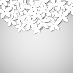 Vector white Paper flowers, origami.