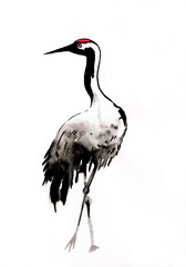 Рисунок тушью "Японский журавль"