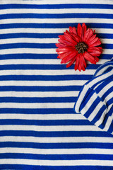 Obraz premium red flower on striped blue white nautical shirt