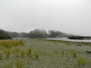 Küste von Vancouver Island