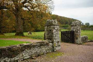 F, Normandie, Abbaye de Hambye, Benediktinerkloster Hambye