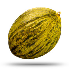 Cantaloupe melon isolated on white background. With clipping path.