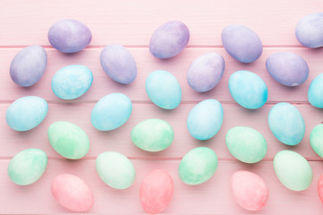 Pink pastel color tulip on the white background. Easter background.