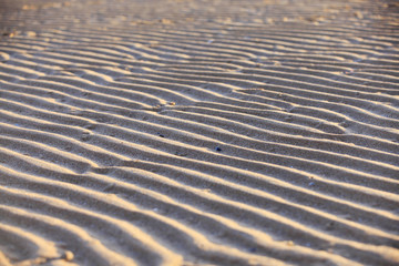 The texture of beach sand